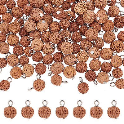 ARRICRAFT 120Pcs Undyed Natural Rudraksha Charms WOOD-AR0001-30-1