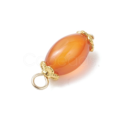 6Pcs Natural Agate(Dyed & Heated) Pendants PALLOY-JF04532-02-1