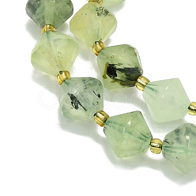 Natural Prehnite Beads Strand G-I376-C02-01-1