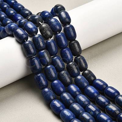 Natural Lapis Lazuli Beads Strands G-H319-A01-02-1
