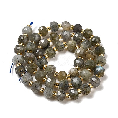 Natural Labradorite Beads Strands G-P508-A20-01-1