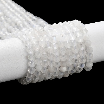 Natural Rainbow Moonstone Beads Strands G-J400-E12-01-1