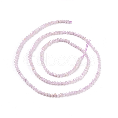 Natural Kunzite Beads Strands X-G-C009-A09-1