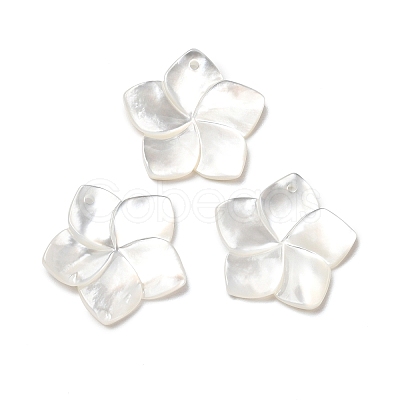 Natural White Shell Mother of Pearl Shell Pendants LS-SSHEL-G014-60-1