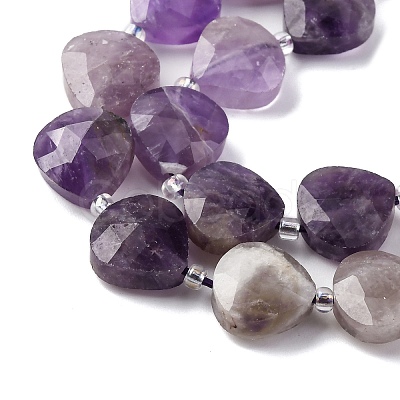 Natural Amethyst Beads Strands G-P570-E17-02-1