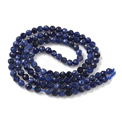 Natural Sodalite Beads Strands G-L622-C04-3mm-1