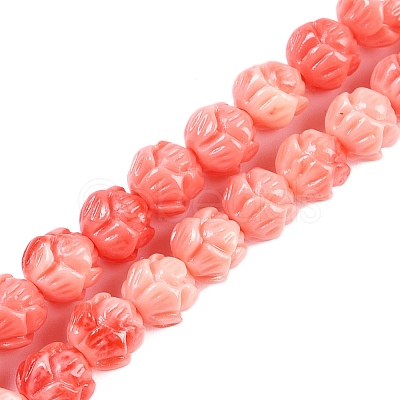 Synthetic Shell Dyed Carved Beads Strands SHEL-C008-01-1