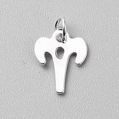 925 Sterling Silver Twelve Constellations Charms STER-WH0005-19S-02-1