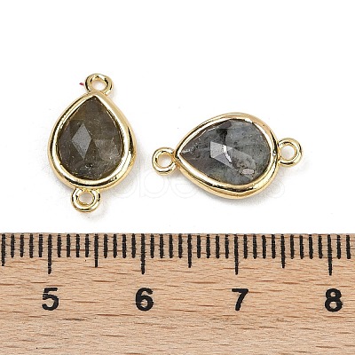 Natural Labradorite Faceted Connector Charms G-L514-048P-05-1