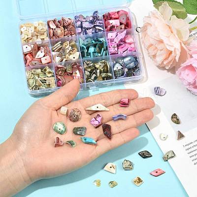165G 12 Styles Dyed Natural Freshwater Shell Chips Beads SHEL-FS0001-20-1