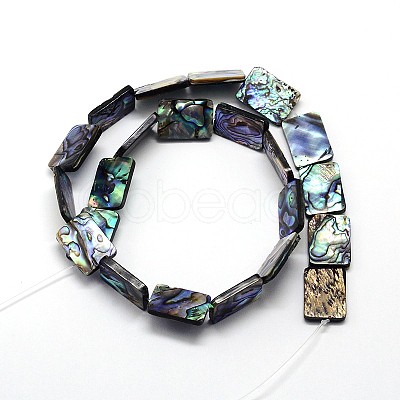 Natural Paua Shell Beads Strands SSHEL-J047-10B-01-1