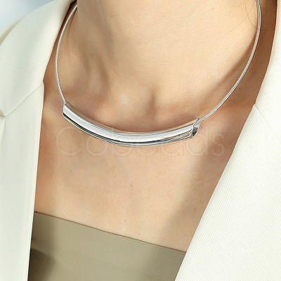 304 Stainless Steel Curved Tube Round Snake Chain Necklaces for Women FS-WG91F2E-01-1