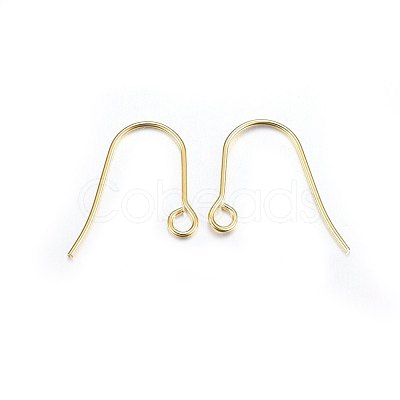 304 Stainless Steel Earring Hooks X-STAS-P210-21G-1