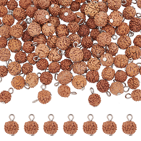 ARRICRAFT 120Pcs Undyed Natural Rudraksha Charms WOOD-AR0001-30-1