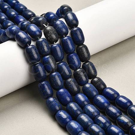Natural Lapis Lazuli Beads Strands G-H319-A01-02-1