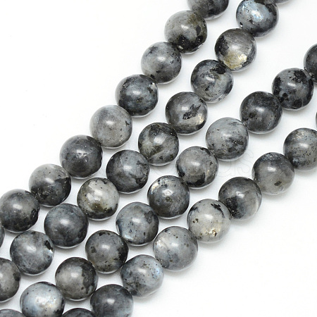 Natural Larvikite Beads Strands X-G-R345-4mm-33-1