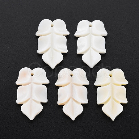 Natural Freshwater Shell Beads SHEL-S276-156-1