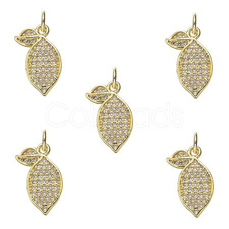 5Pcs Brass Micro Pave Cubic Zirconia Pendants ZIRC-SZ0005-34-1