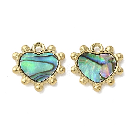 304 Stainless Steel Natural Paua Shell/White Shell Pendants Ion Plating(IP) STAS-U037-06G-01-1