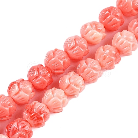 Synthetic Shell Dyed Carved Beads Strands SHEL-C008-01-1