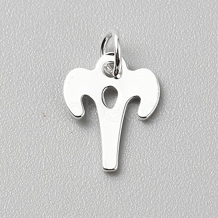 925 Sterling Silver Twelve Constellations Charms STER-WH0005-19S-02-1