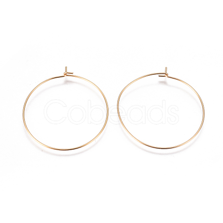 304 Stainless Steel Hoop Earrings Findings STAS-I120-60D-G-1