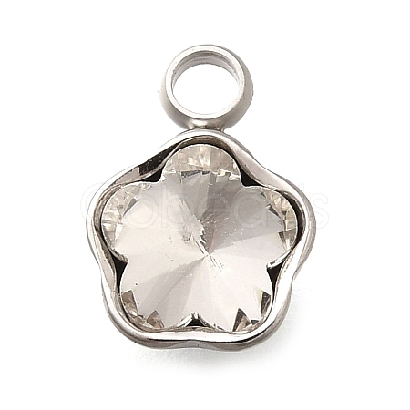 304 Stainless Steel Pendants STAS-Q346-02P-10-1